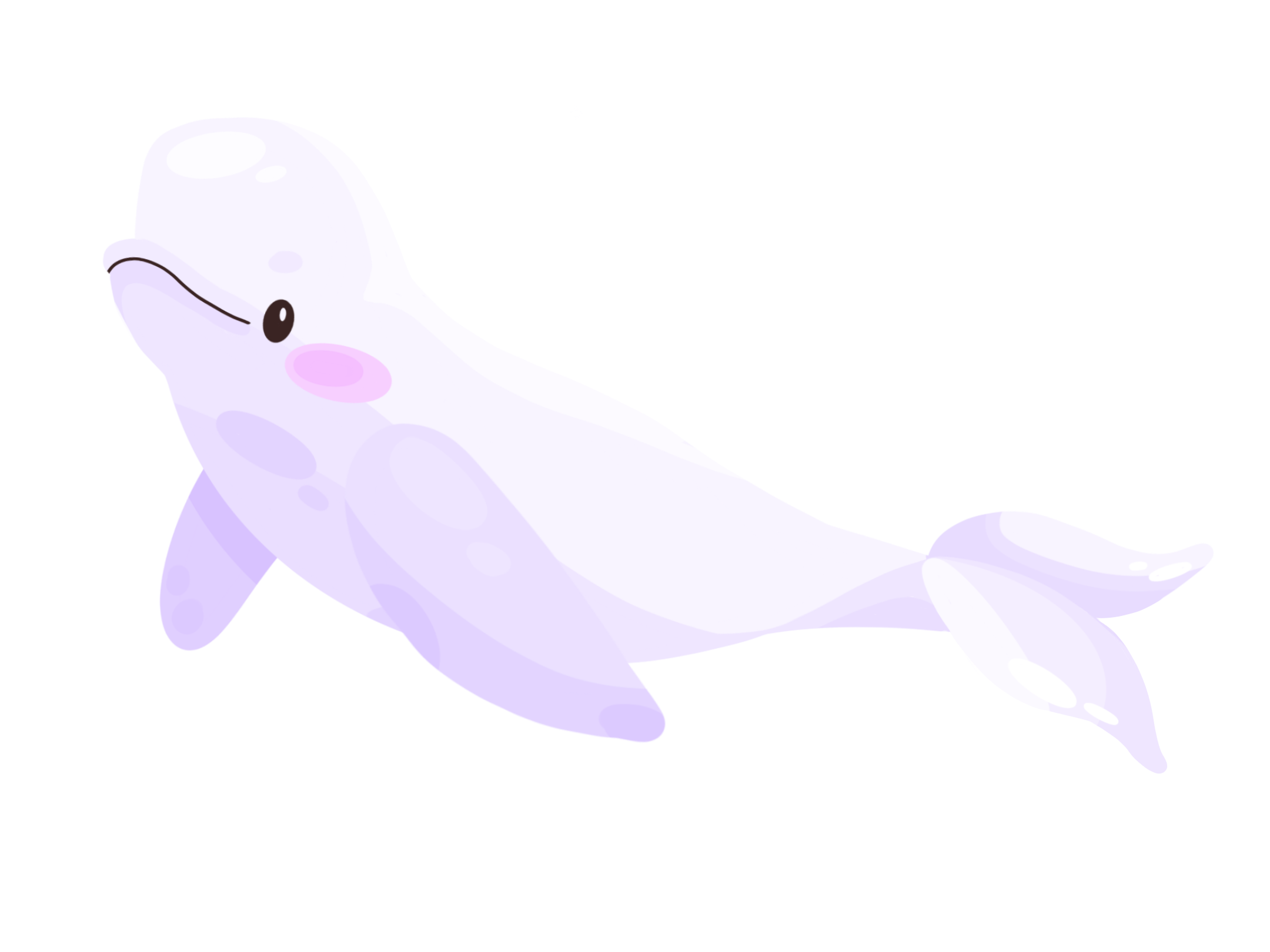 HIPPOS